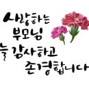 힐링 꽃꽂이 이미지