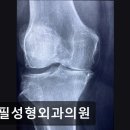 에필성형외과의원 이미지