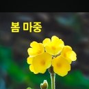 3월20일 목요일 아침에편지 이미지