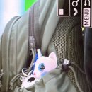 볼로그 이미지