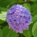 거북선공원(체육관 옆) 이미지