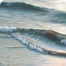 밀려오는 파도소리에 이미지