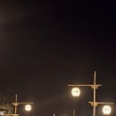 달빛이 머무는집 | 안동 가볼만한곳, 달빛이 머무는 숭고한 사랑의 다리 '월영교' 야경 완벽 후기 (ft. 문보트, 분수쇼...