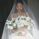 클레어더웨딩