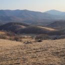 선곡목장 이미지