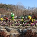 01-20 동구 이미지