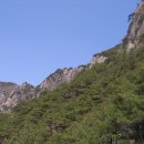 창녕읍 술정리 259번지 ～ 술정리 300-3 | 화왕산.관룡산.구룡산(창녕)