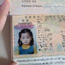 송당자동차병원 | 7월 일상💚 / 나에게 7월은 제주🍊 / 행복한 나날들✨