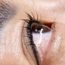 하코뷰티haco Beauty | 울산 중구 태화동 속눈썹펌 잘하는 곳 하코뷰티 유지력 좋아요