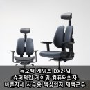 듀오백 게임즈 DX2-M 슈퍼적립 게이밍 컴퓨터의자 바른자세 사무용 책상의자 재택근무 장단점 후기