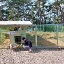 대풍엘피지가스 이미지