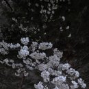 천은물산