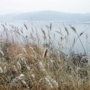 고려왕릉가는길 이미지