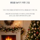 메종원스이어신세계백화점