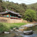 석천농로 이미지