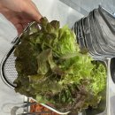 양덕동150 | 명륜진사갈비 장어 후기 마산양덕동맛집 창원고깃집 착한프랜차이즈