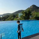 변산면사무소 | 부안 펜션 모항레저타운 수영장 인피니티풀 10만 원대 가성비 숙소(+조식)