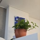 휴안마토피아 이미지