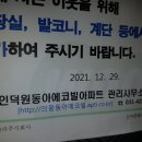 김진형베이스볼아카데미 네이버블로그