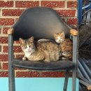 장동호동물병원 이미지