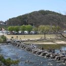 춘 Daum카페
