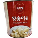 차이웰