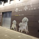 은퇴한 수의사의 저택 | 서울 서대문구 애견호텔 은퇴한수의사의저택 비용 주소 이벤트