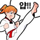 대림태권도 이미지