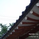 비야농장 이미지