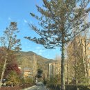 화산중학교 | 전교생과 마술로 들썩 (o゜▽゜)/ 전북 완주 화산중학교 진로특강+실제학생후기