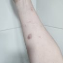 세븐일레븐 쿠팡물류센터점 | 쿠팡물류센터 알바 후기