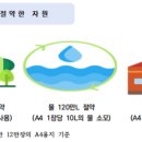 모범청과