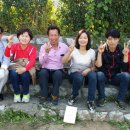 계수초교 이미지