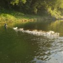 앞섬마을 이미지