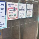 줄즈 에어2 유모차 의정부 베이비플러스 내돈내산 후기(기내반입 가능)
