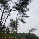 보체 주식회사