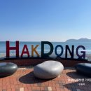 🌊 거제 학동흑진주몽돌해수욕장 학동주차장 흑진주몽돌해변주차장 갈매기 작은몽돌 유명몽돌해변 거제...