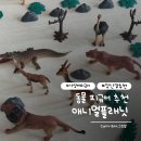 마이플래닛 | 애니멀플래닛 동물 피규어 후기 마이리틀타이거 가성비 추천