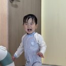 마로스테이 이미지