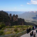 블루마운틴 이미지