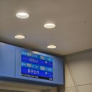 세인트빌딩 | 시드니 / 아시아나 비행기 기내식 후기, 세인트 메리 대성당, 퀸 빅토리아 빌딩, 패디스 마켓 기념품 추천✨️