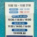 경남 거제시 돌고래를 볼 수 있는 아쿠아리움 거제씨월드 내돈내산 후기