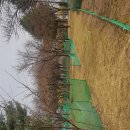 관문체육공원 내 이미지