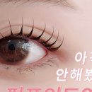 새늘래쉬