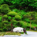 금강고을 이미지