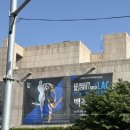 고전사랑 | 모나코 몬테카를로 발레단 [백조의 호수] 후기 (고전적인 사랑 이야기 말고 다른 백조의 호수의 맛)