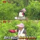 (주)용현코리아 | 두 번째... 샵... 샵샵