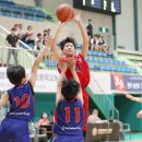 연학초등학교 이미지