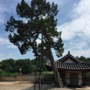 돈암서원 책판 이미지