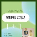 필스텔라